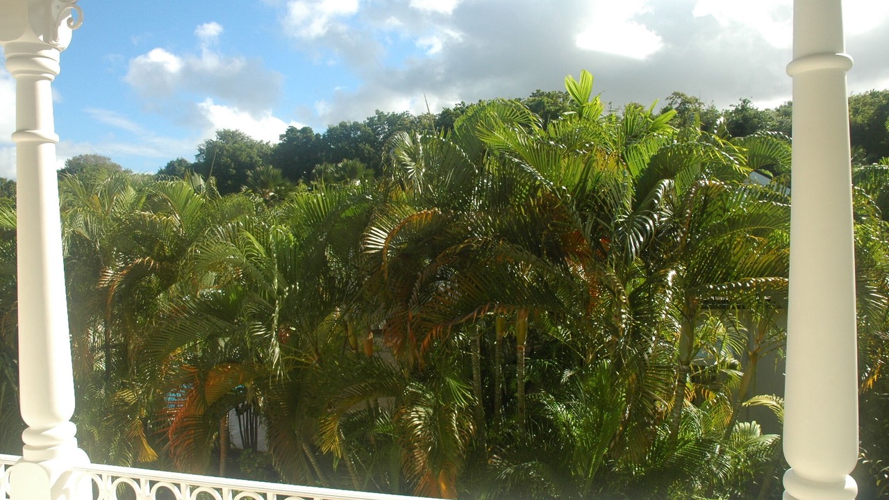 Photo of Others in Little Battaleys