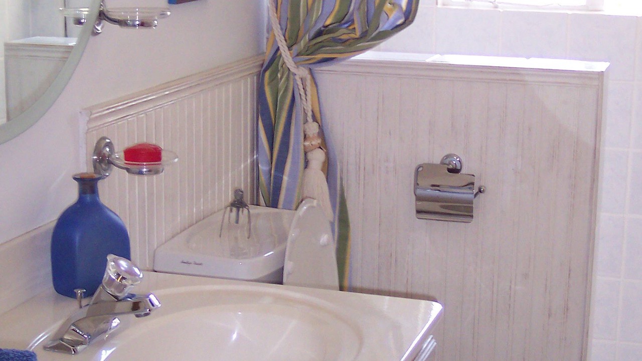 Photo of Bathroom in Oistins