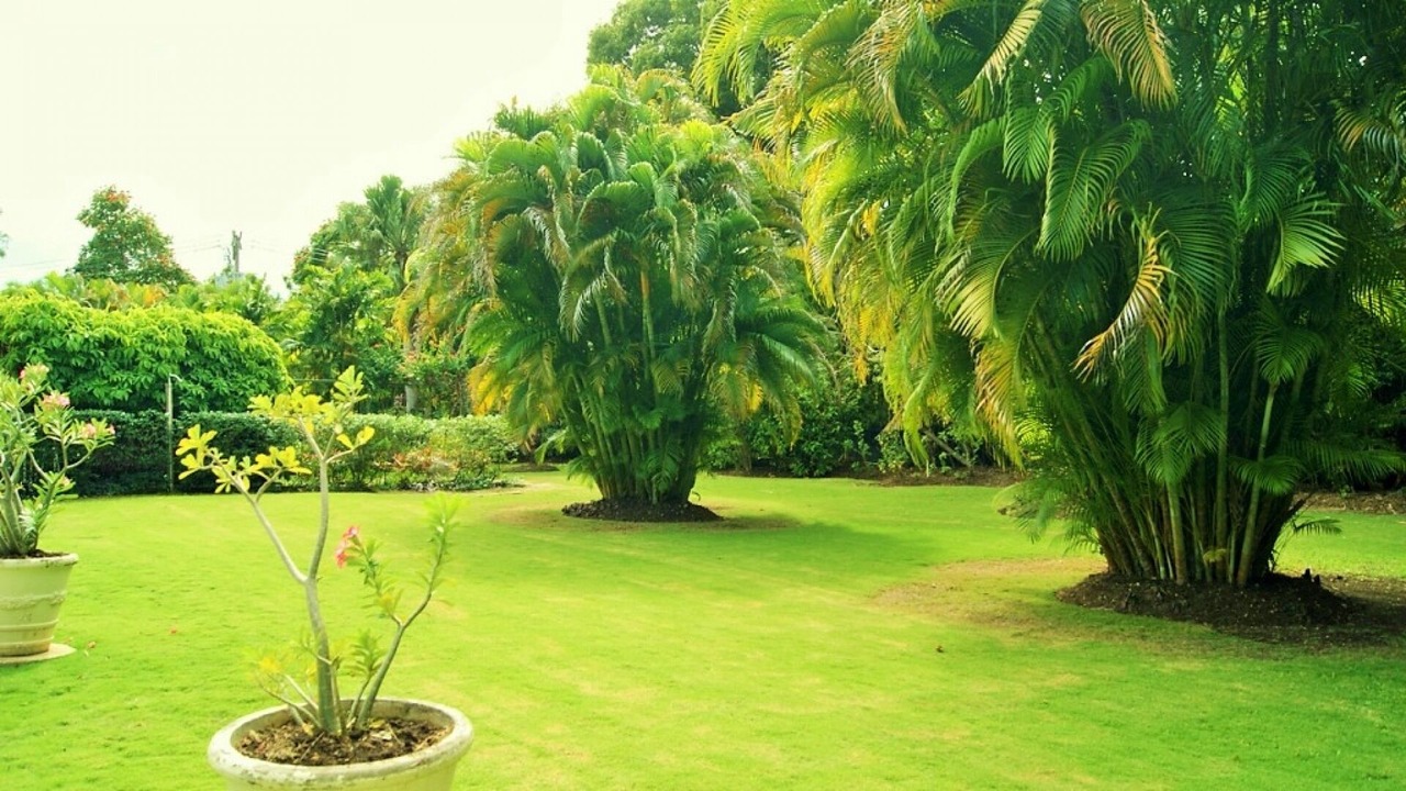 Photo of Outdoor in Sandy Lane