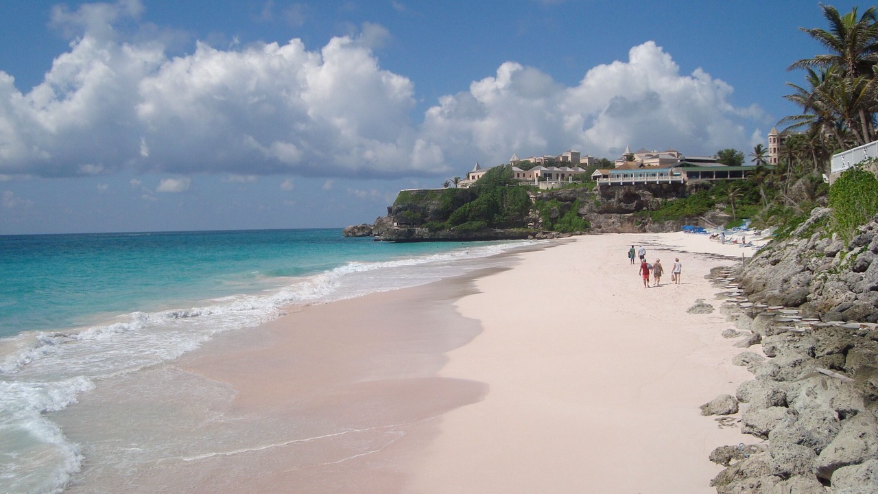 Photo of Others in Long Bay