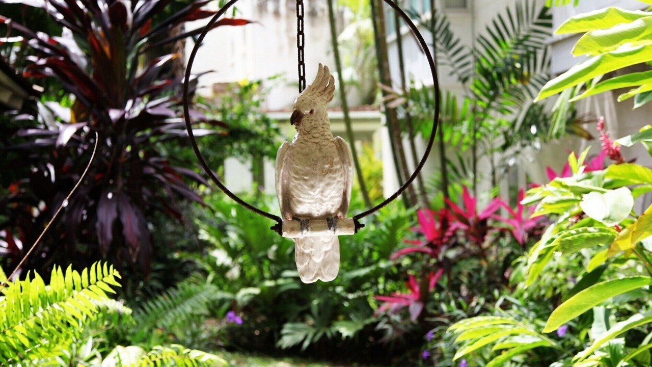 Photo of Outdoor in Sandy Lane