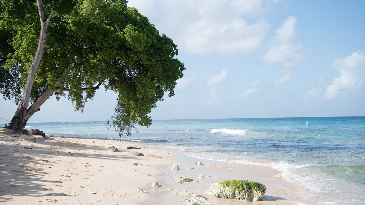 Photo of Others in Old Trees Bay