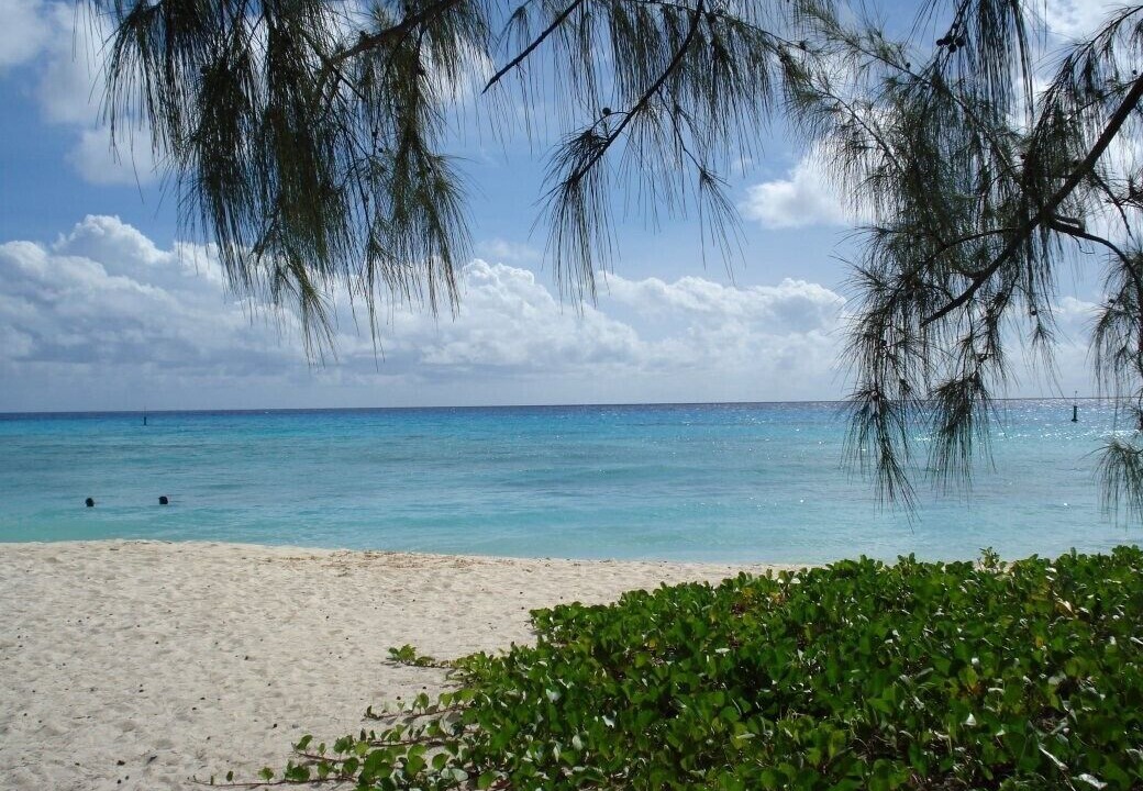 Photo of Others in Rockley