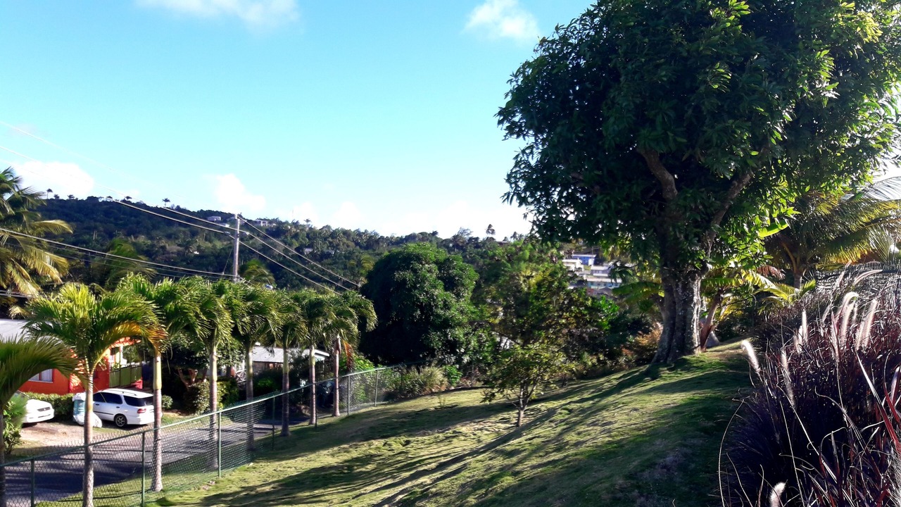 Photo of Outdoor in Apes Hill