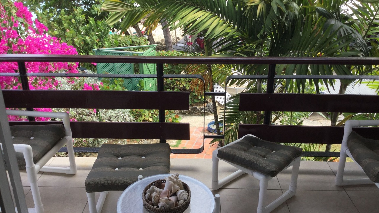 Photo of Patio Balcony in Halcyon Heights