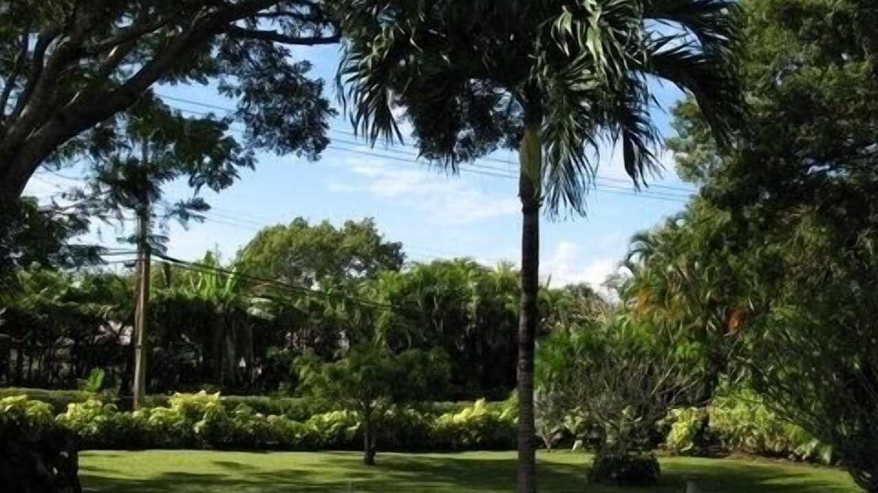 Photo of Others in Sandy Lane