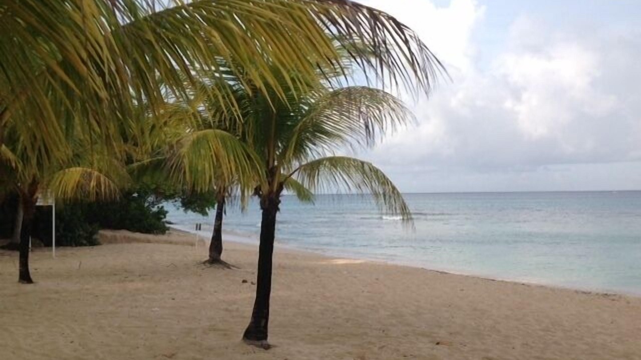 Photo of Others in Sandy Lane