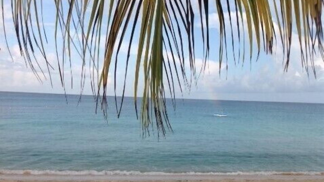 Photo of Others in Sandy Lane