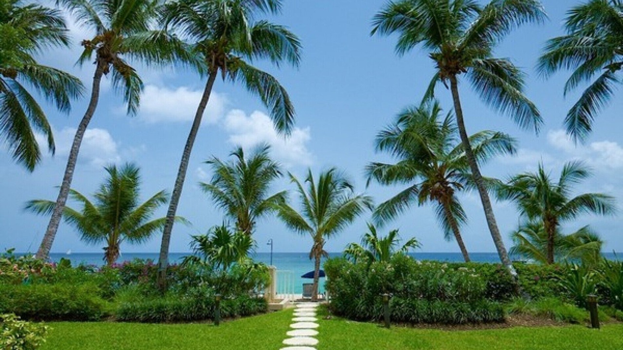 Photo of Outdoor in Old Trees Bay