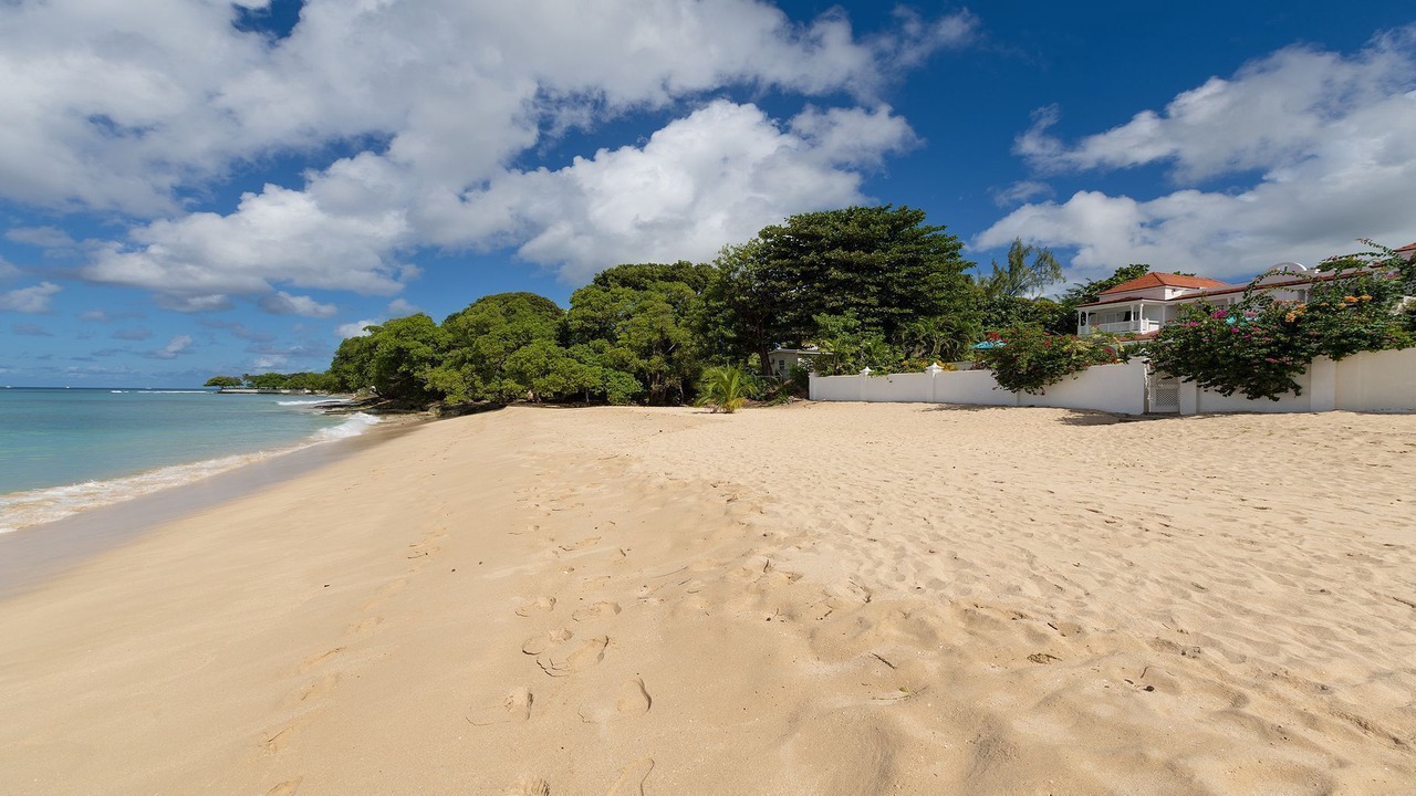 Photo of Others in Reeds Bay