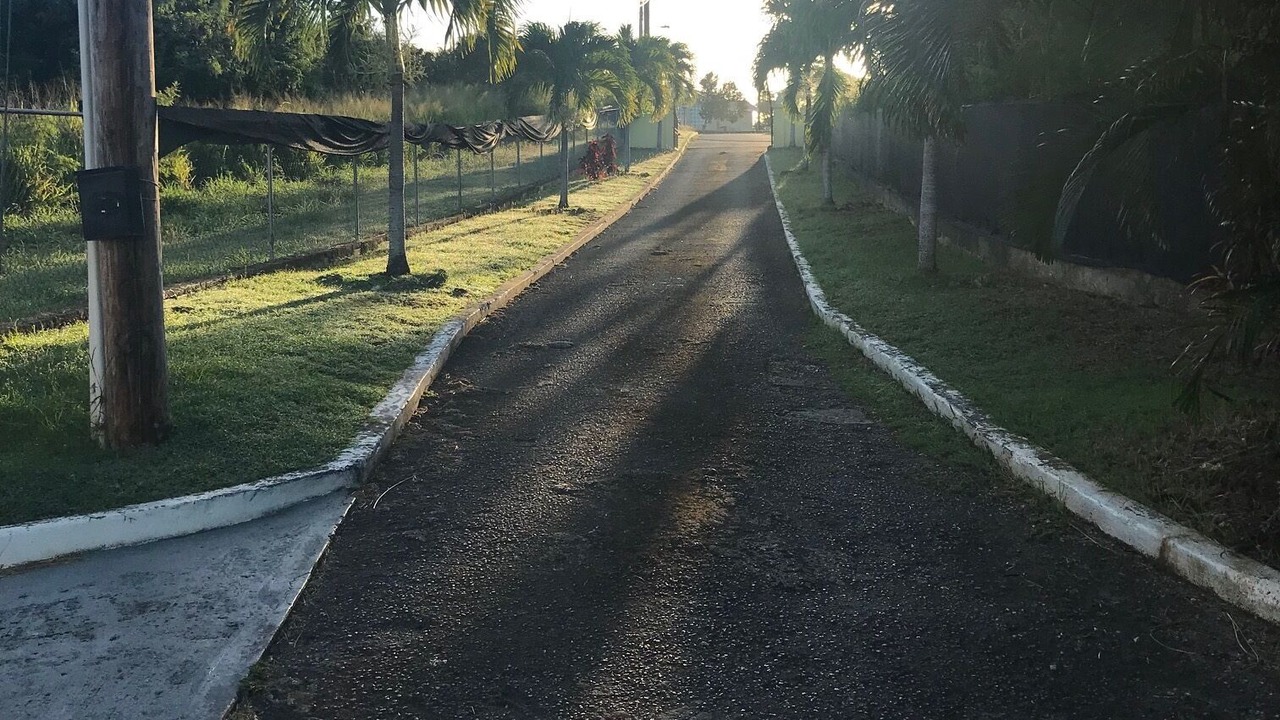 Photo of Others in Speightstown