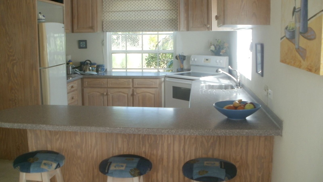 Photo of Kitchen in Speightstown