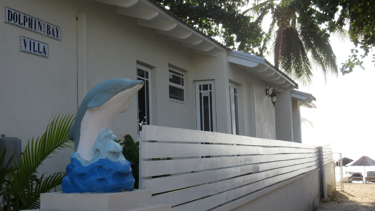 Photo of Outdoor in Old Trees Bay