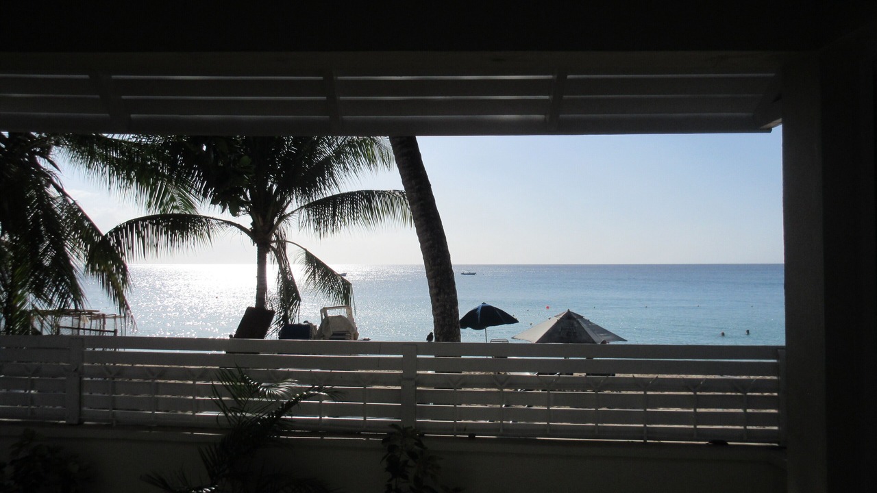 Photo of Outdoor in Old Trees Bay