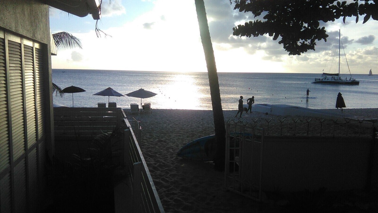 Photo of Others in Old Trees Bay