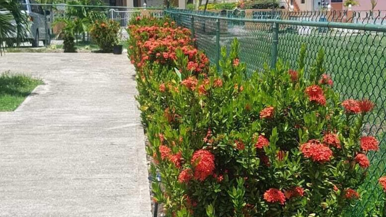 Photo of Outdoor in Enterprise