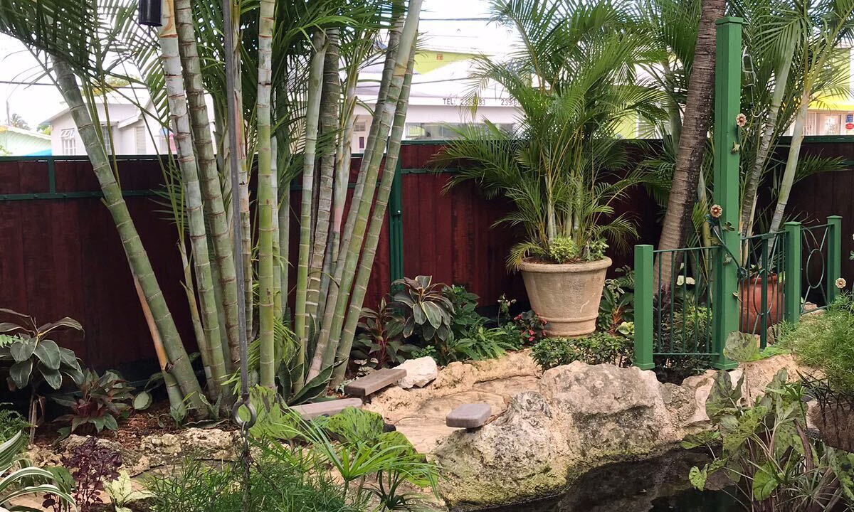 Photo of Outdoor in Marine Gardens