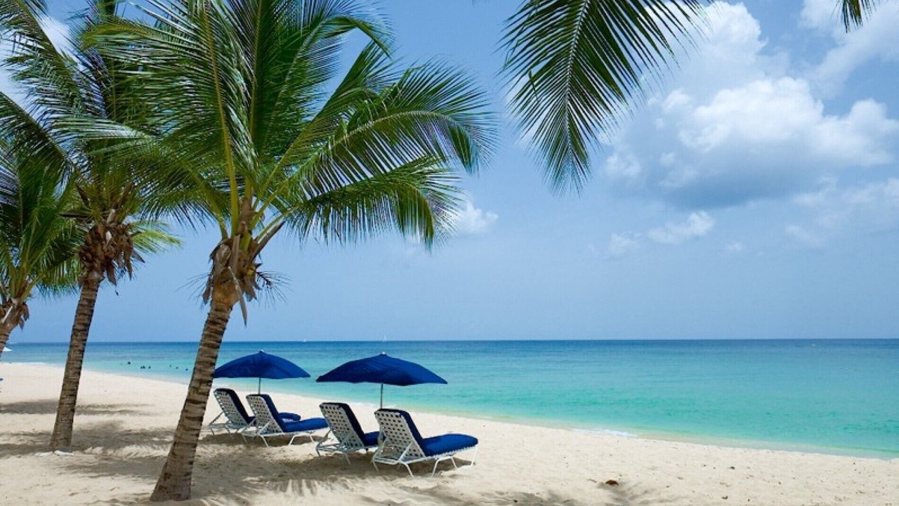 Photo of Others in Paynes Bay