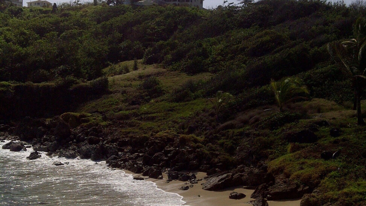 Photo of Others in Marley Vale