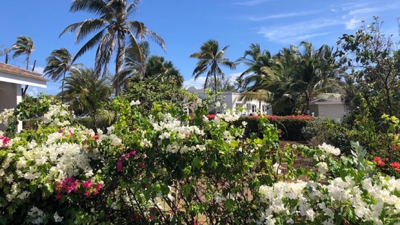 Photo of Outdoor in Long Bay