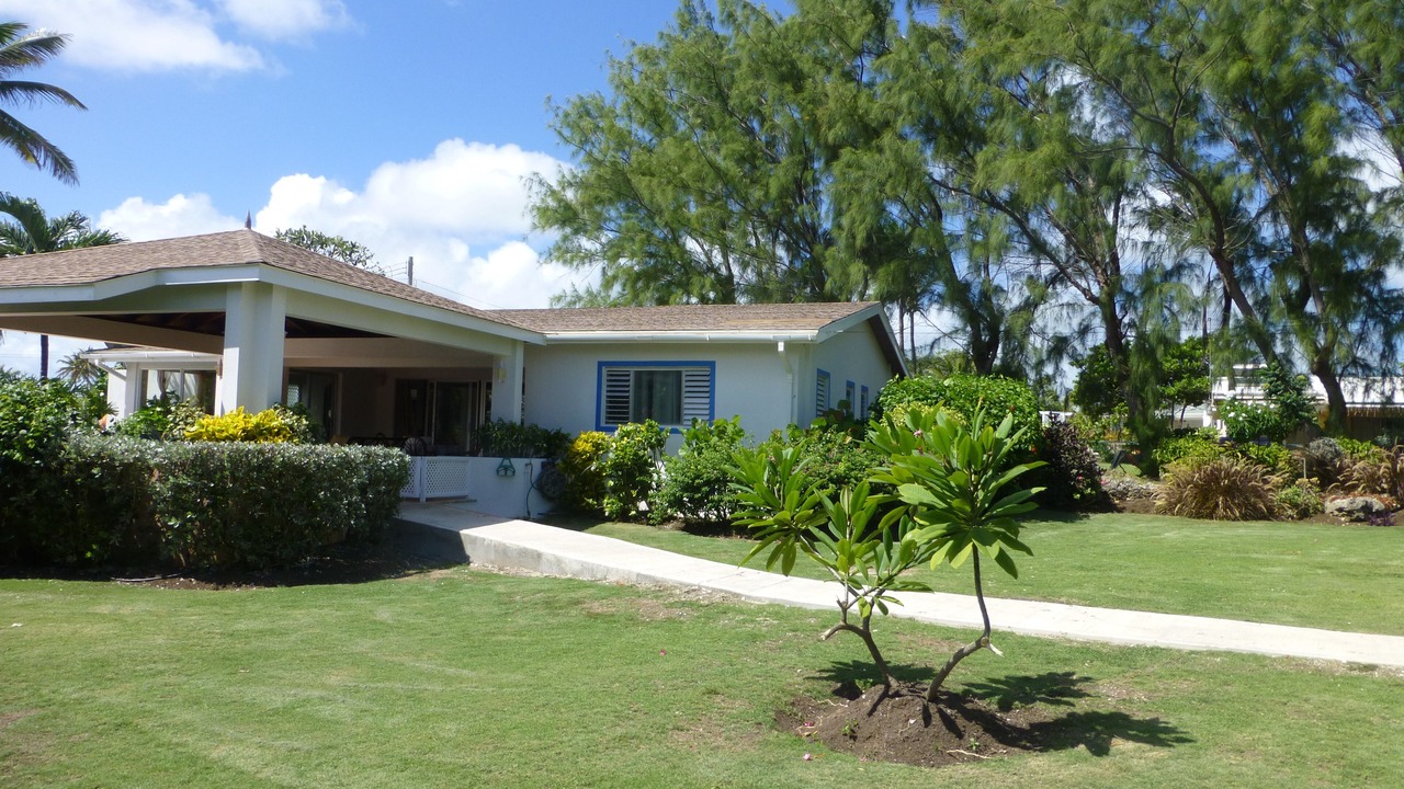 Photo of Outdoor in Long Bay