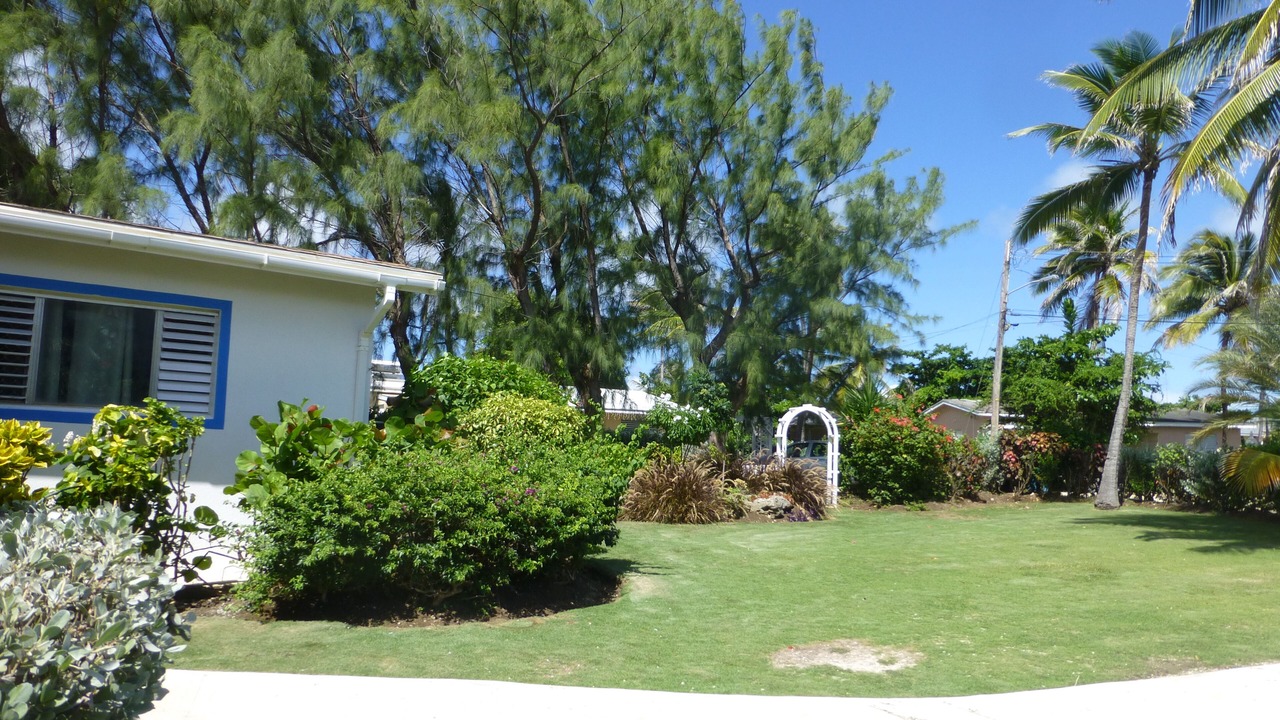 Photo of Outdoor in Long Bay