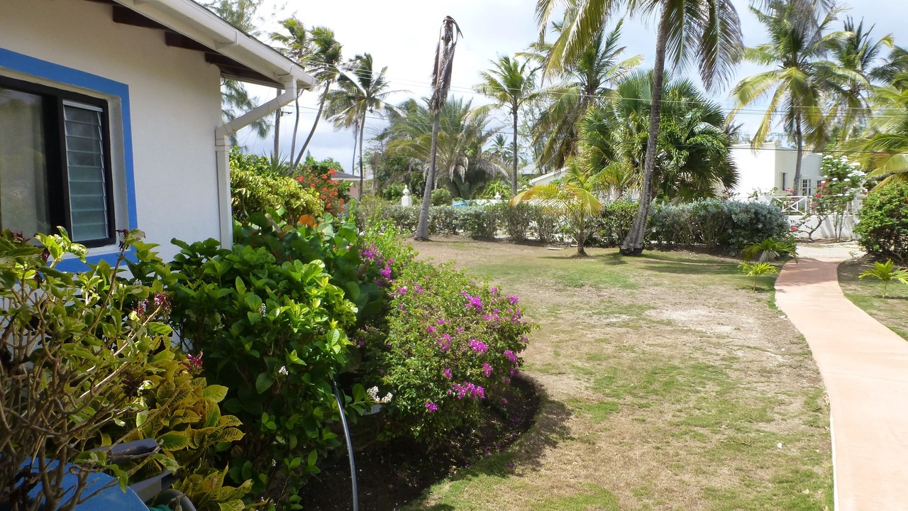 Photo of Outdoor in Long Bay