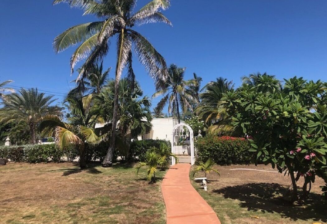 Photo of Outdoor in Long Bay