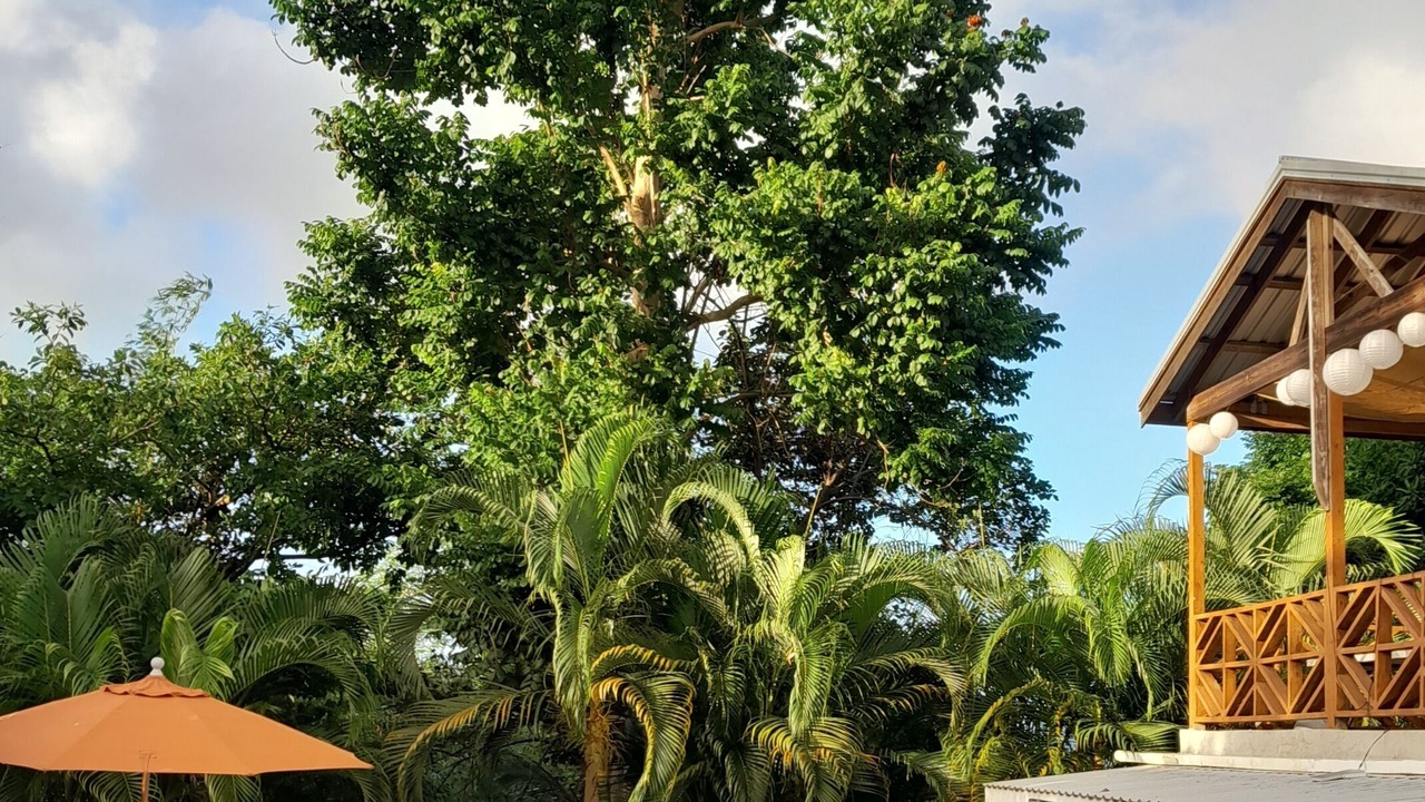 Photo of Outdoor in Saint Sylvans