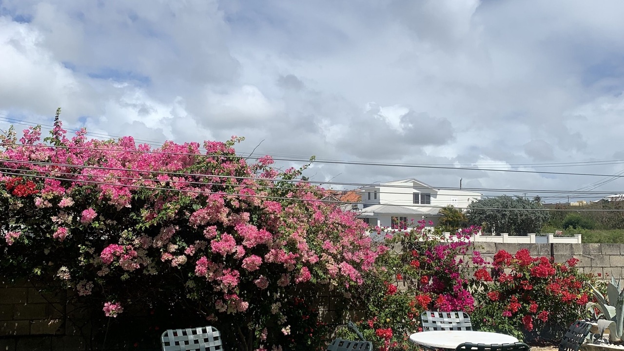 Photo of Outdoor in Atlantic Shores