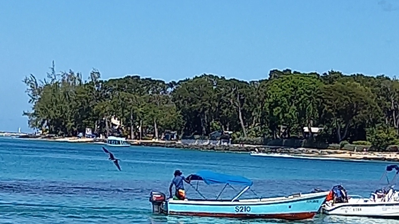 Photo of Others in Holetown