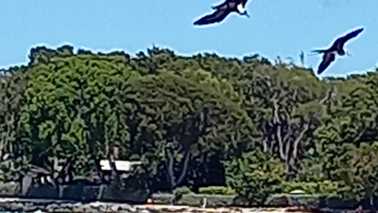 Photo of Others in Holetown
