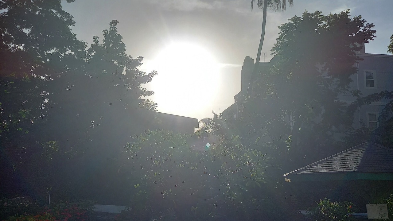 Photo of Outdoor in Holetown