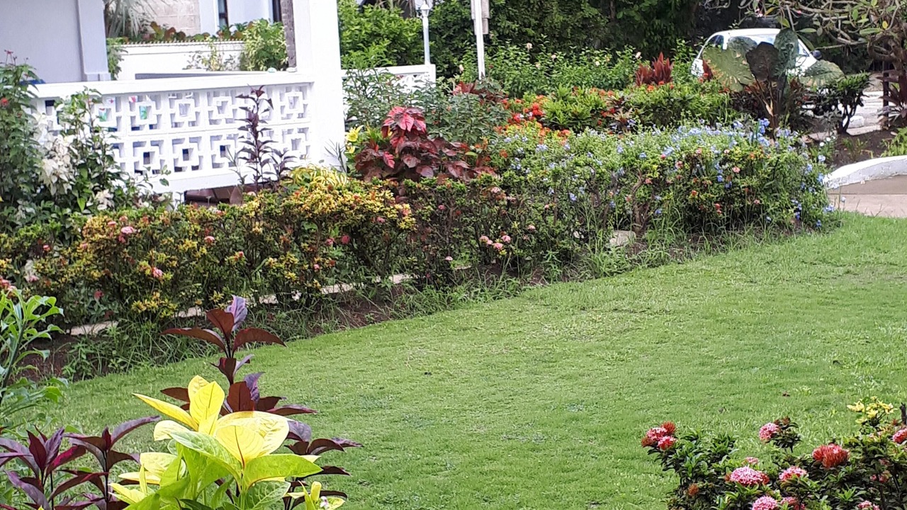 Photo of Outdoor in Holetown