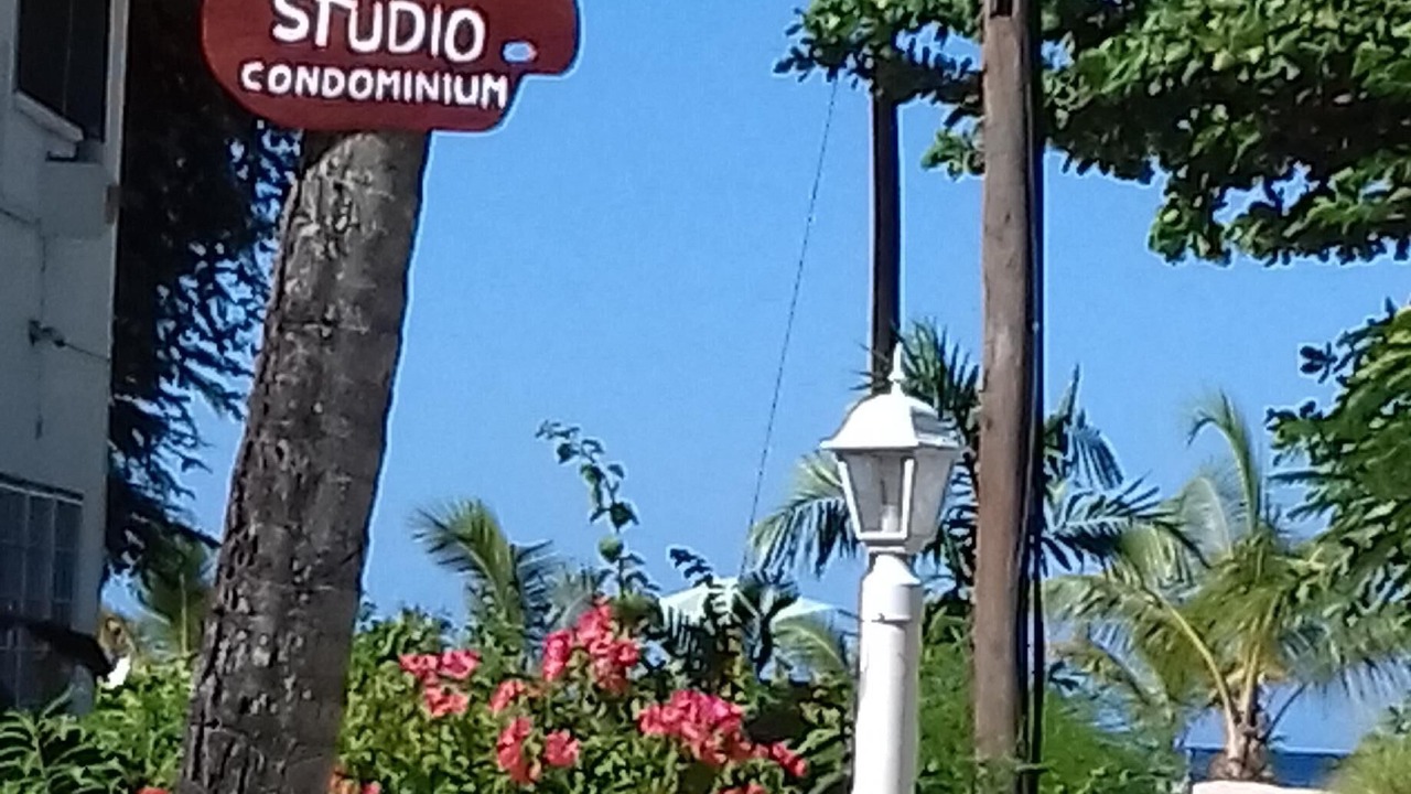 Photo of Others in Holetown