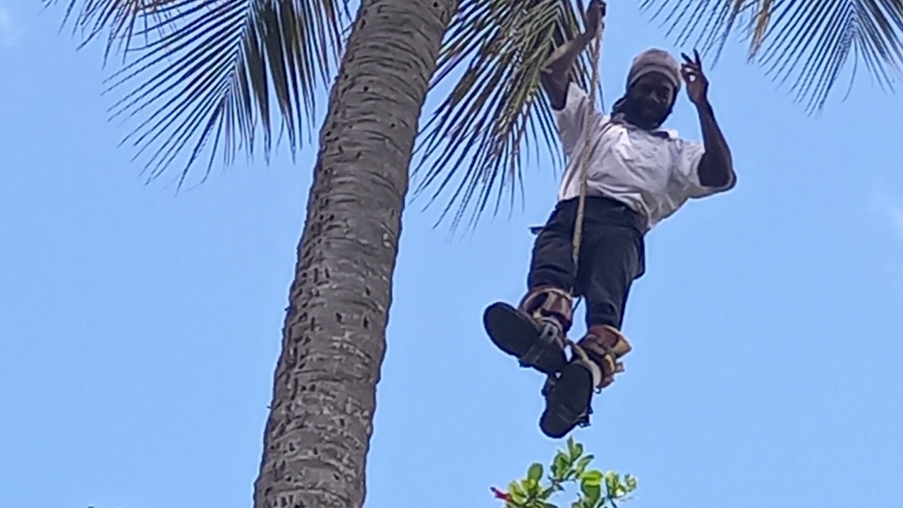Photo of Outdoor in Holetown
