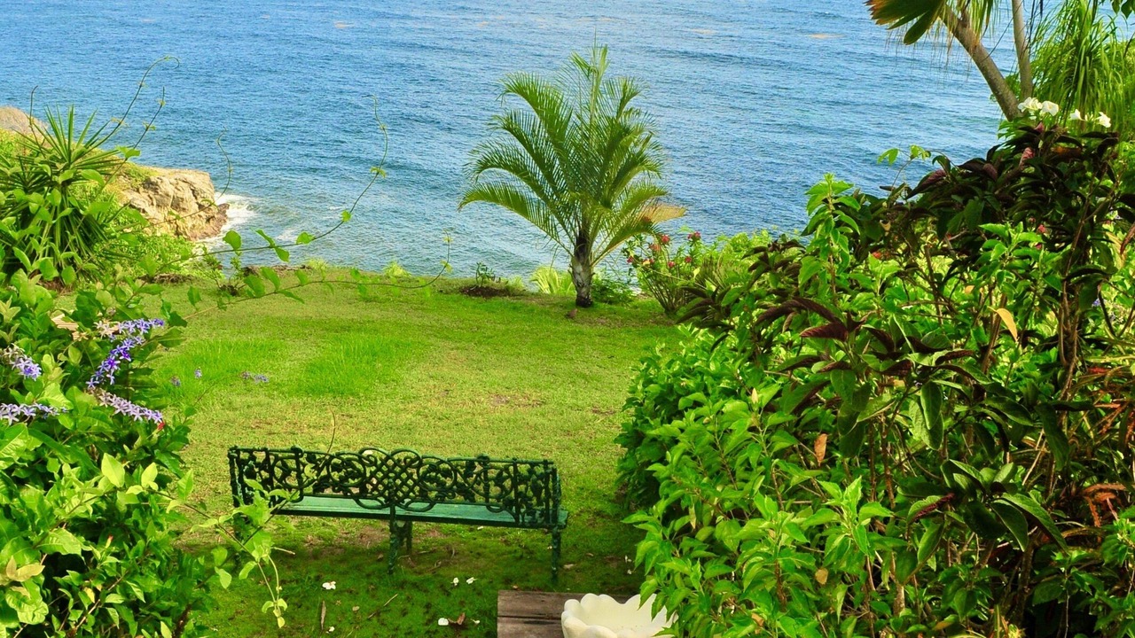 Photo of Outdoor in Trents
