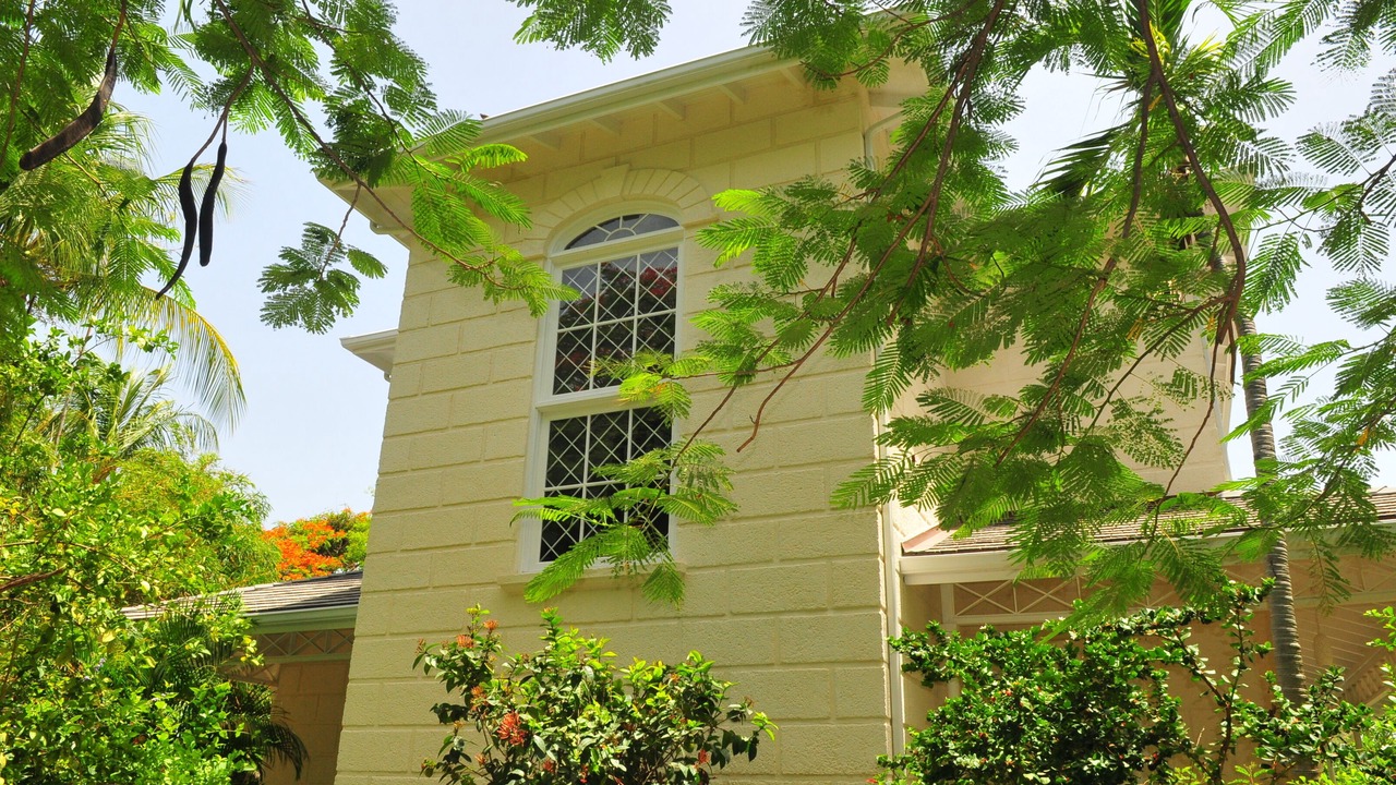 Photo of Outdoor in Trents