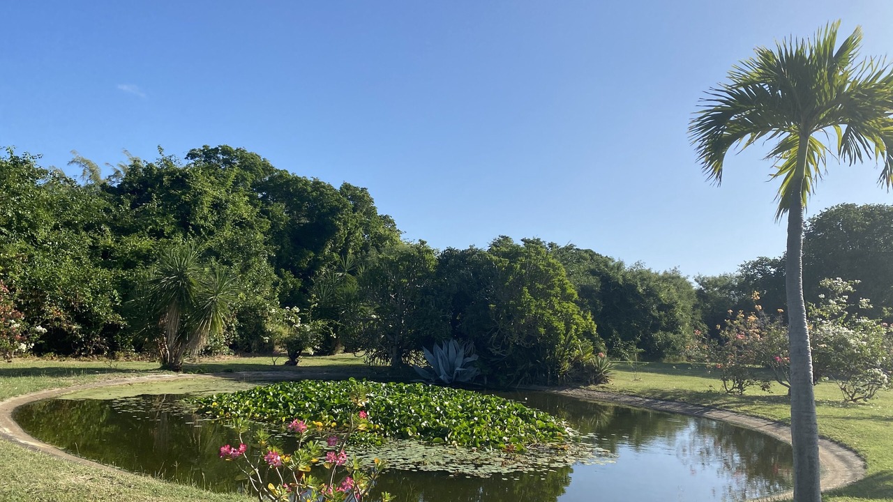 Photo of Outdoor in Trents