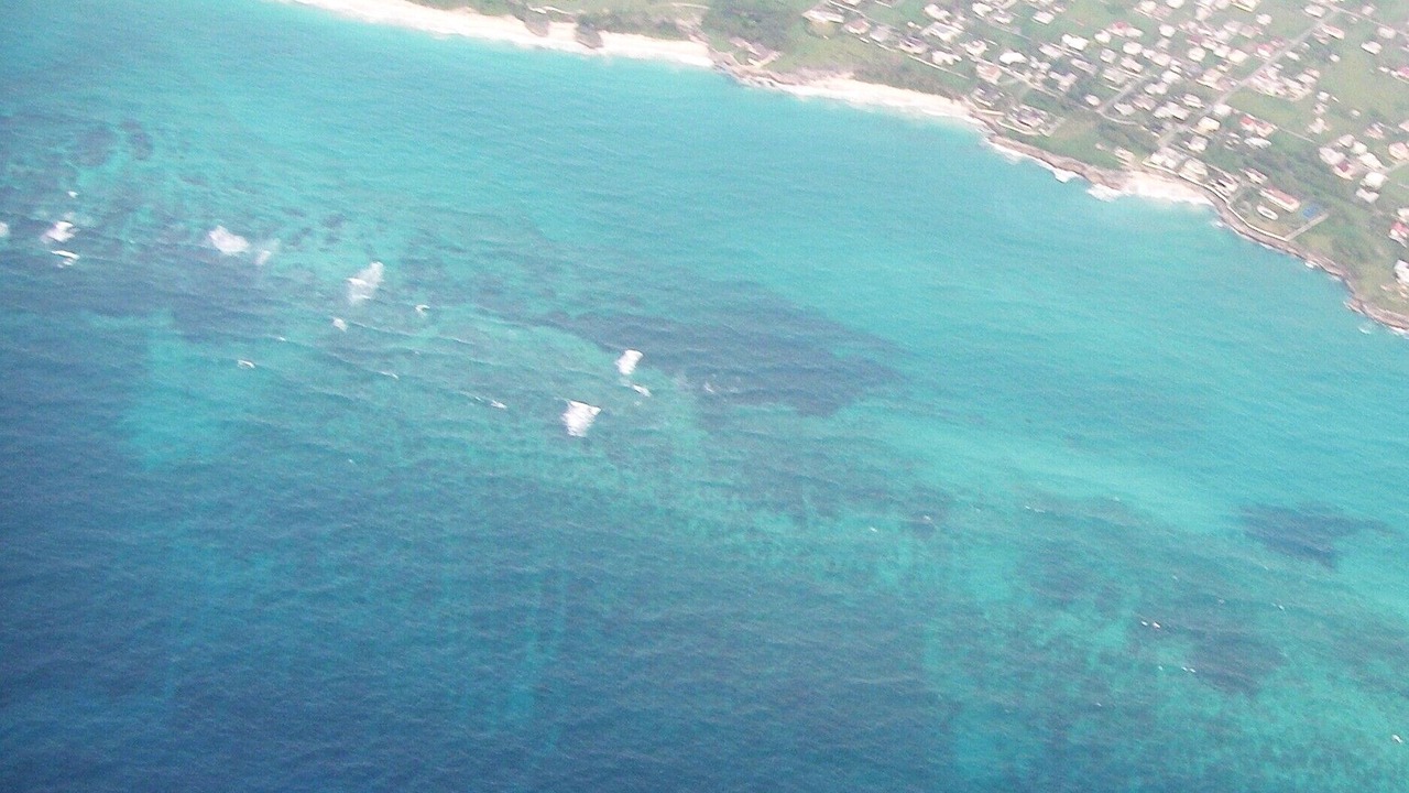 Photo of Others in Belair