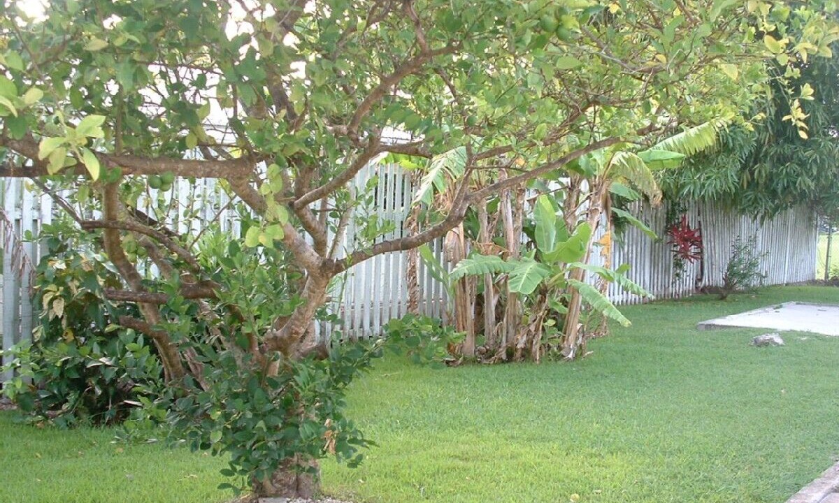 Photo of Outdoor in Holetown