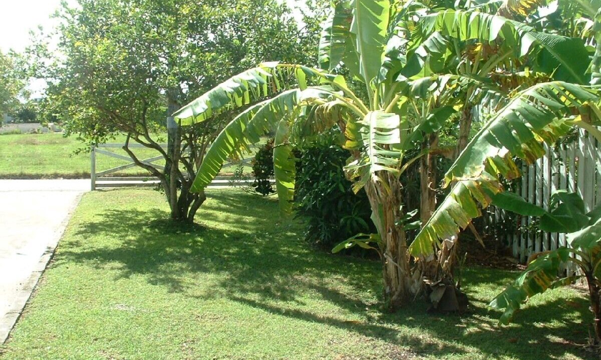 Photo of Outdoor in Holetown
