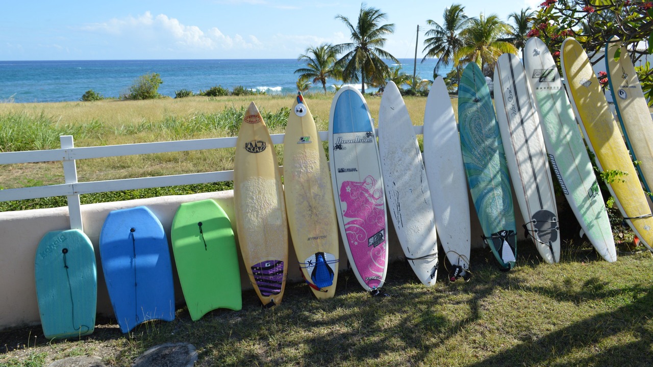 Photo of Others in Silver Sands