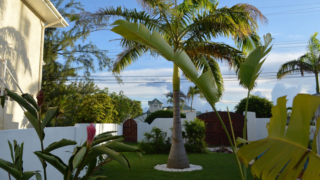 Photo of Outdoor in Silver Sands