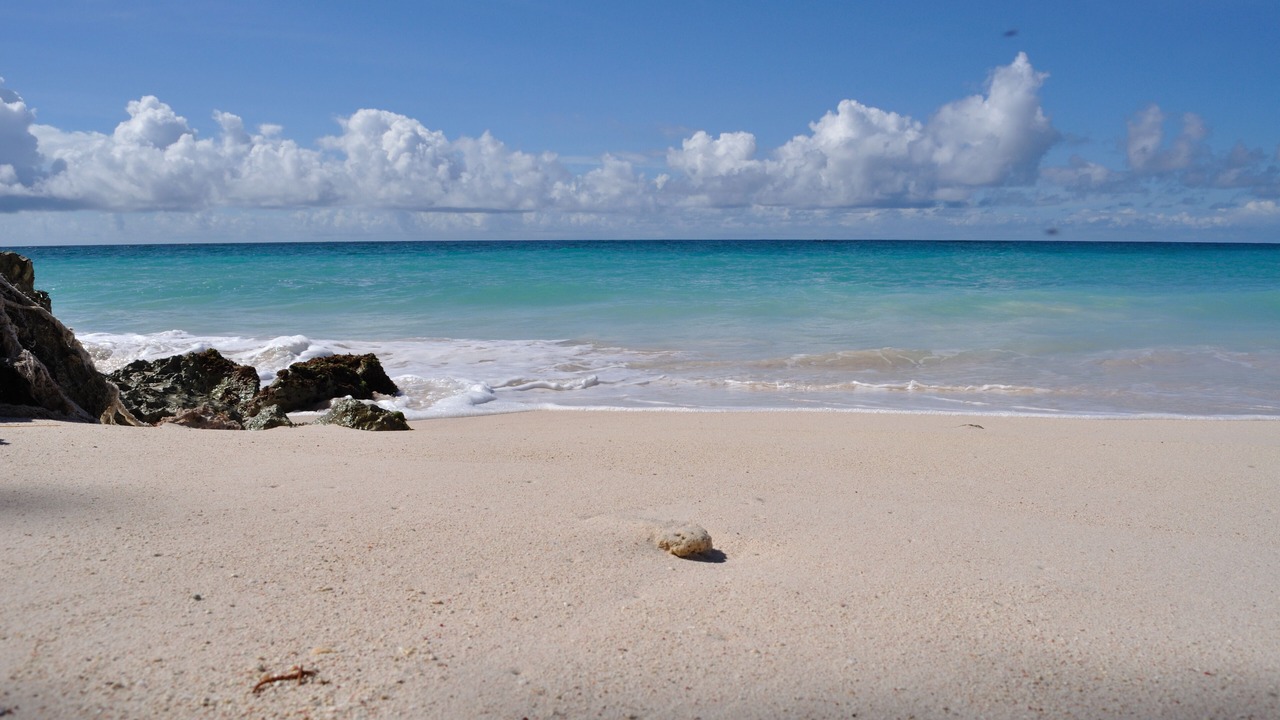 Photo of Others in Silver Sands