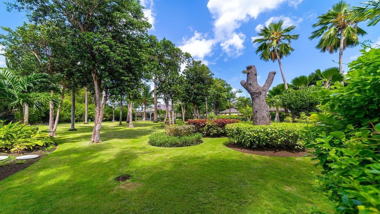 Photo of Outdoor in Paynes Bay