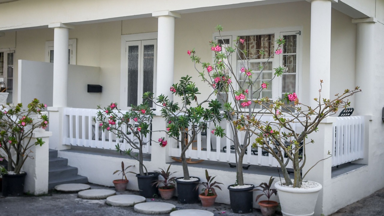 Photo of Outdoor in Oistins