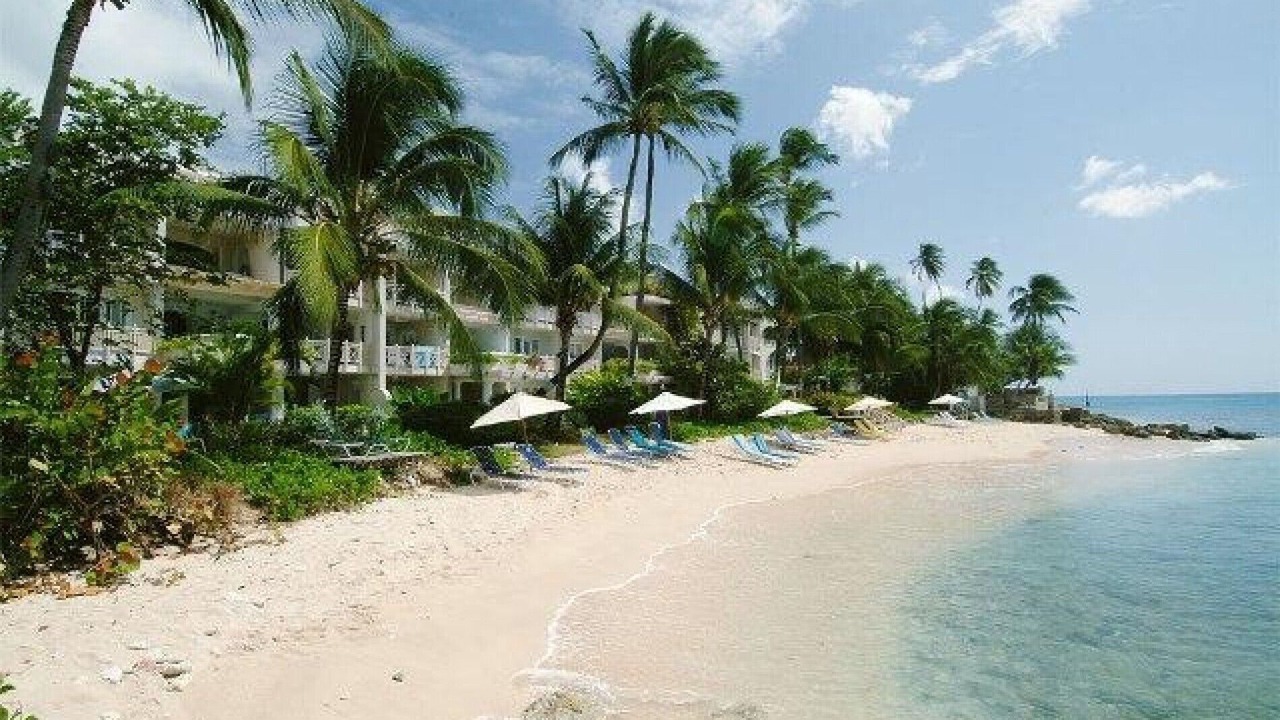 Photo of Others in Reeds Bay
