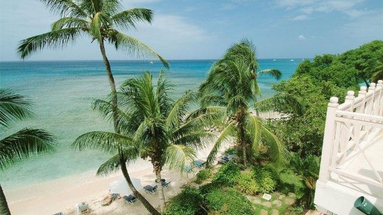Photo of Others in Reeds Bay