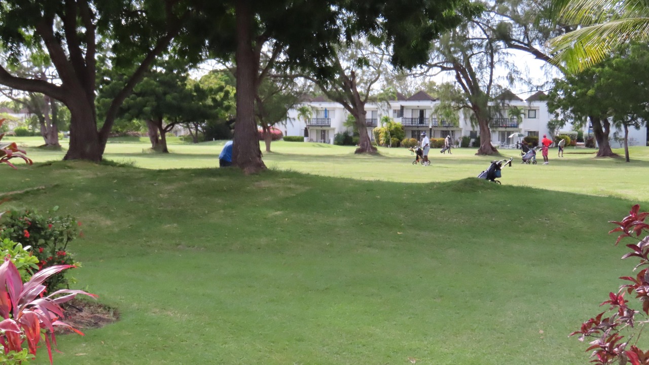 Photo of Outdoor in Worthing